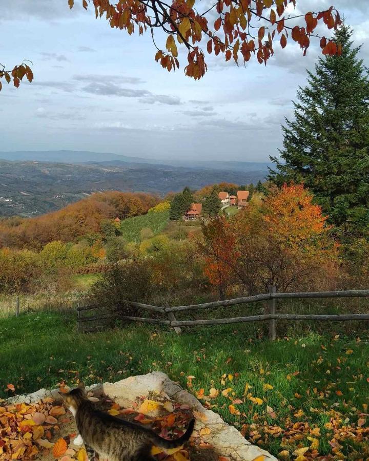 Apartmani Planinska Kuca, Jagodnja Krupanj Экстерьер фото